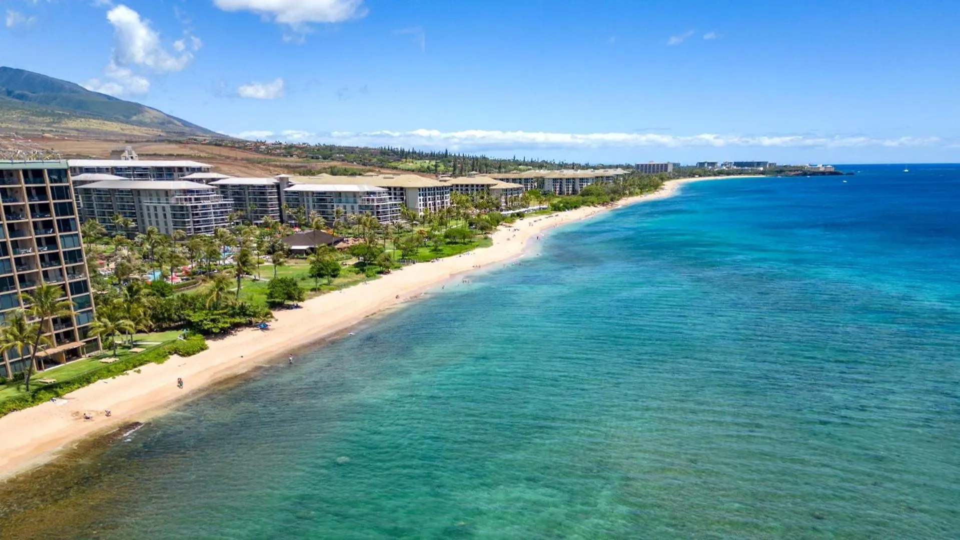 Apartment Spacious 4-Bedroom Mahana Collection - Multi Unit Listing - Same Building - Ocean Front - 2 Free Rental Cars Mah-301 Mah-419 Kaanapali