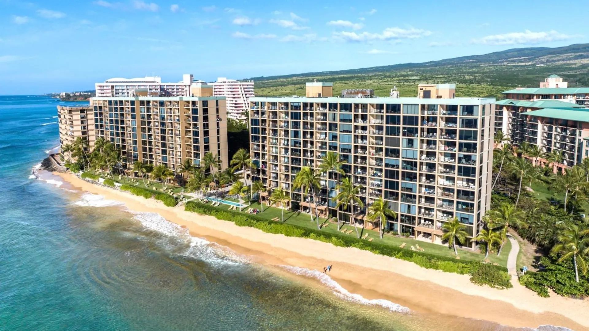 Apartment Spacious 4-Bedroom Mahana Collection - Multi Unit Listing - Same Building - Ocean Front - 2 Free Rental Cars Mah-301 Mah-419 Kaanapali